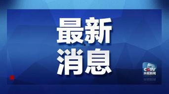 武胜最新爆料消息视频,揭秘视频背后的惊人真相  第3张