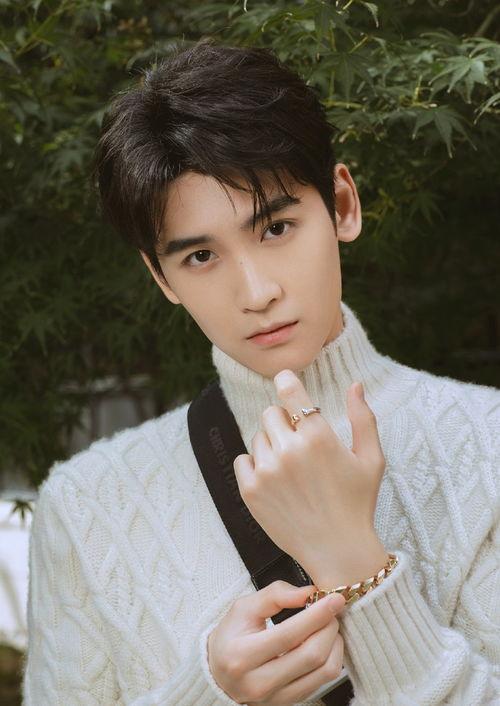 圈内人爆料黄俊捷视频,圈内人揭秘不为人知的真相  第3张